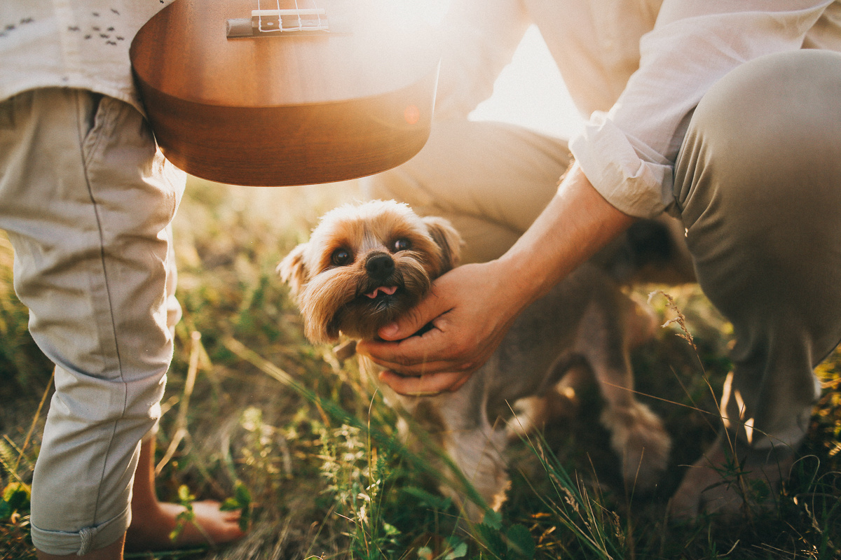 Свет. Соня Черных (sophieblack)