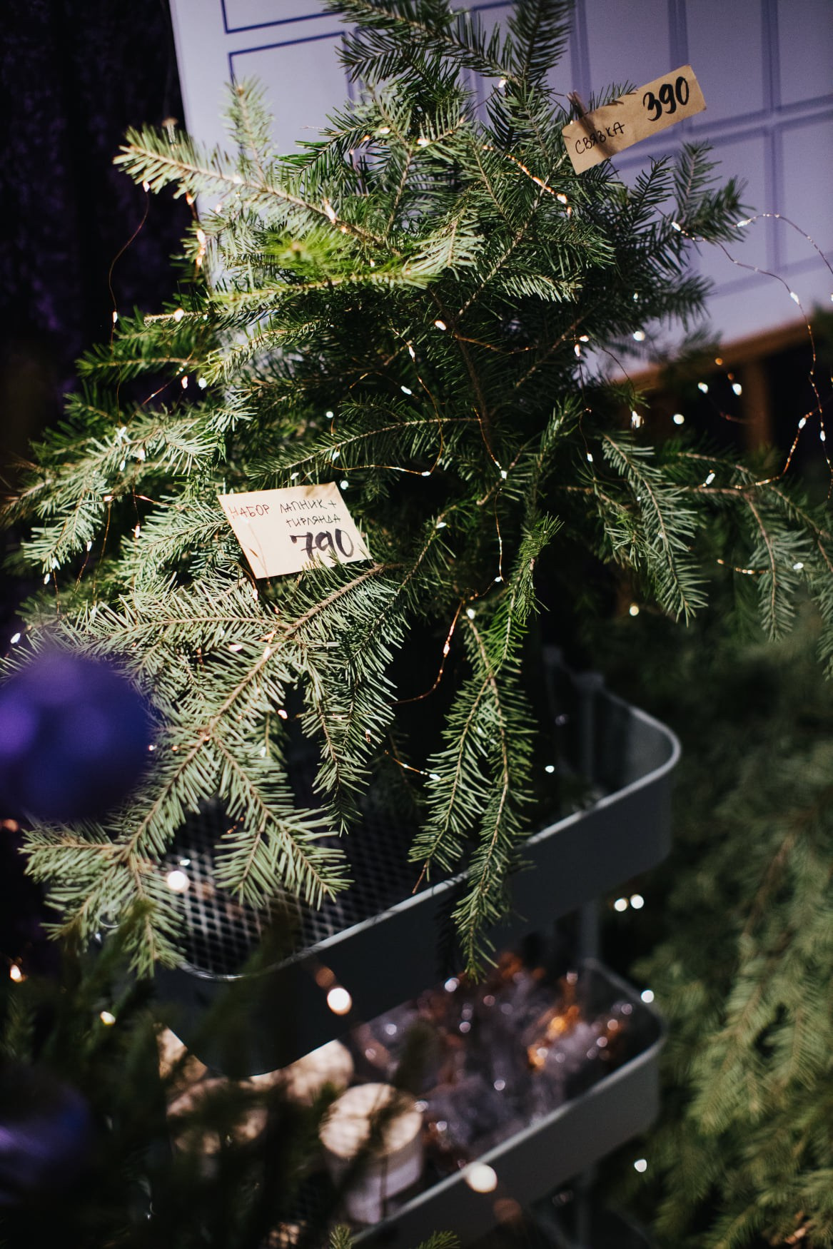 19–20 декабря 2020 в «Цветном» / фото Валерий Белобеев. Фотоотчеты «Ламбада-маркета»