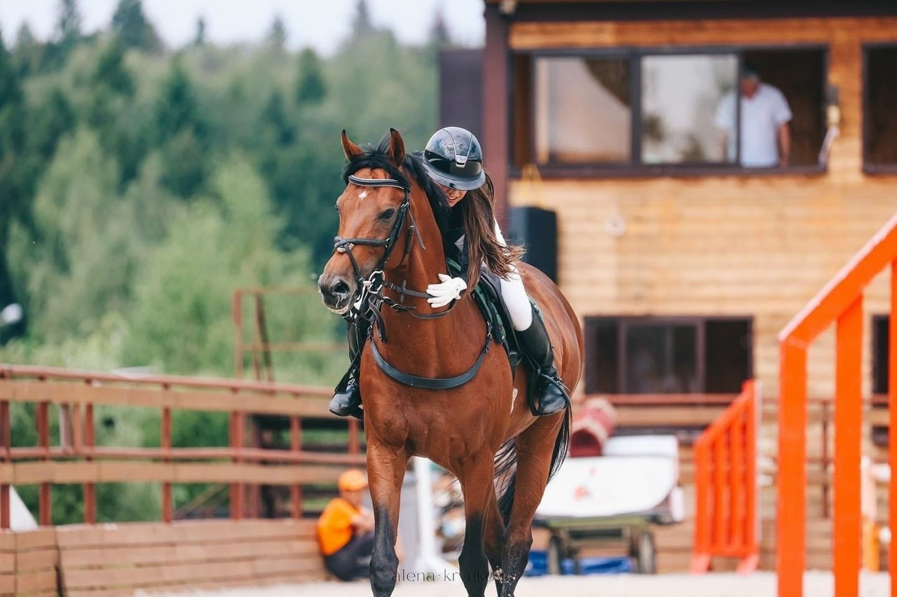 Летние соревнования. Фотосессии с лошадьми