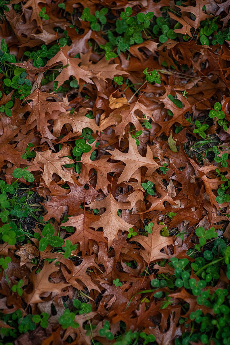 Анастасия. Фотограф Роман Ефремов