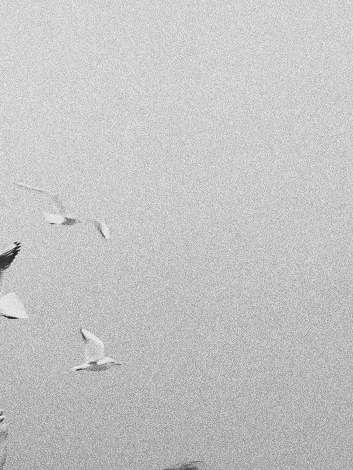 Ильнара и Андрей. Фотограф Ростов-на-Дону