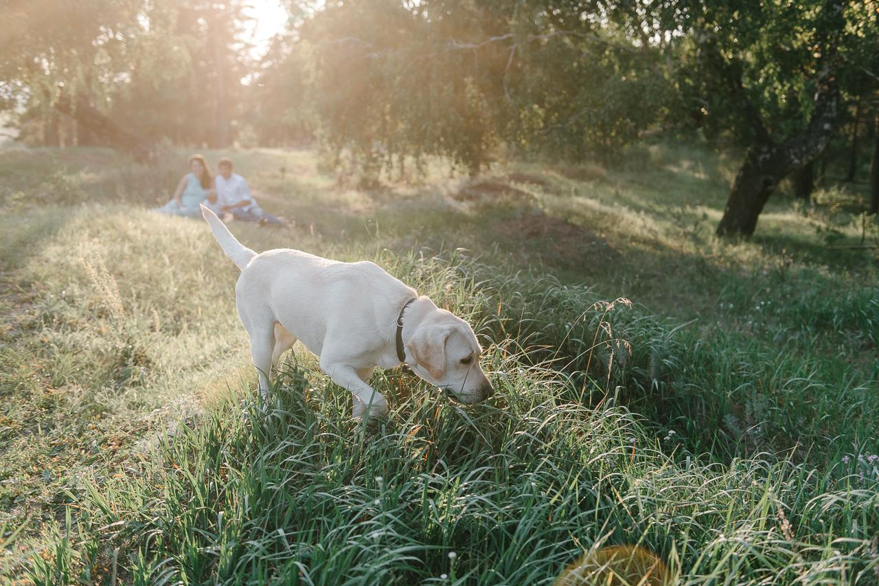 Ира, Равиль и Лёва в ожидании чуда. Фотограф Валерия Голубева (Миронова)