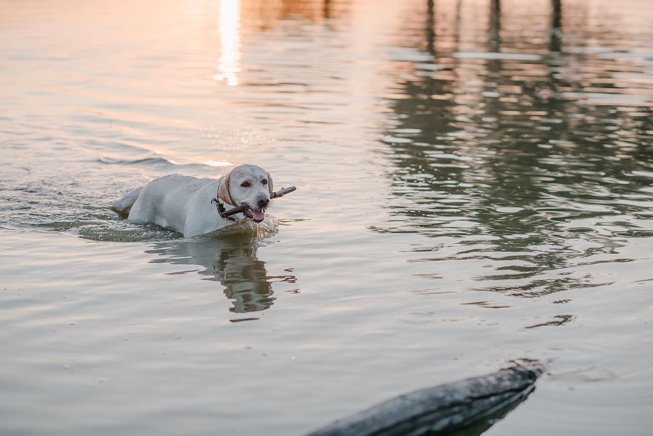 Ира, Равиль и Лёва в ожидании чуда. Фотограф Валерия Голубева (Миронова)