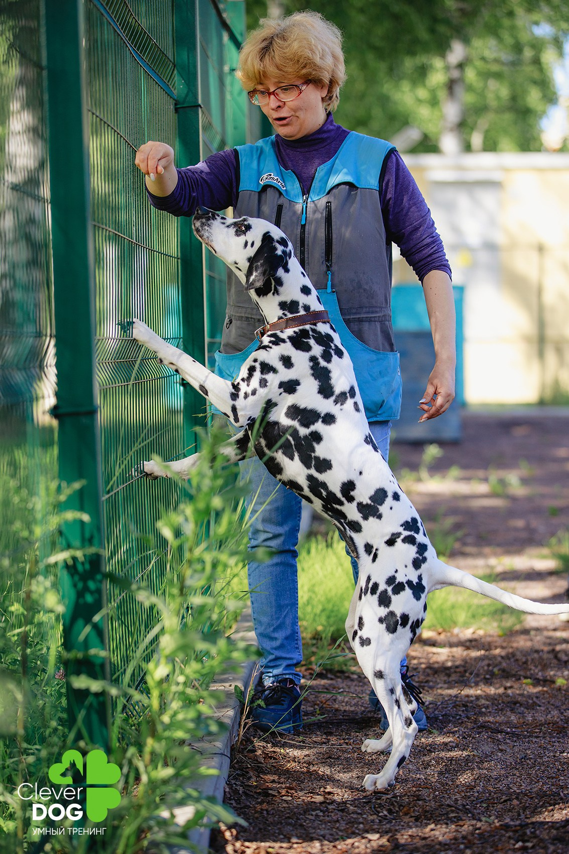 Семинар по поиску запаха с Иваном Ломовым, организатор CleverDog, СПб. Фотограф-анималист Mary Mart — Москва, Питер