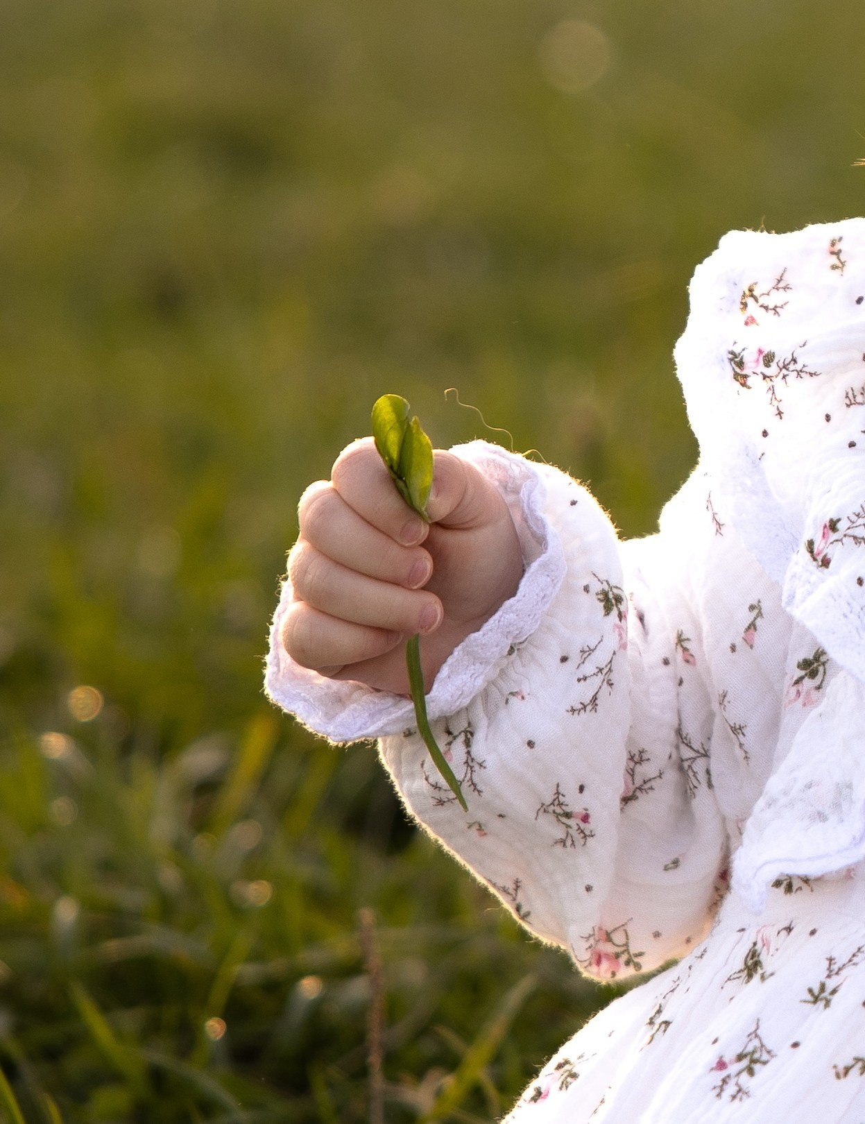 Семейная съемка на природе. Фотограф Ломакина Анастасия
