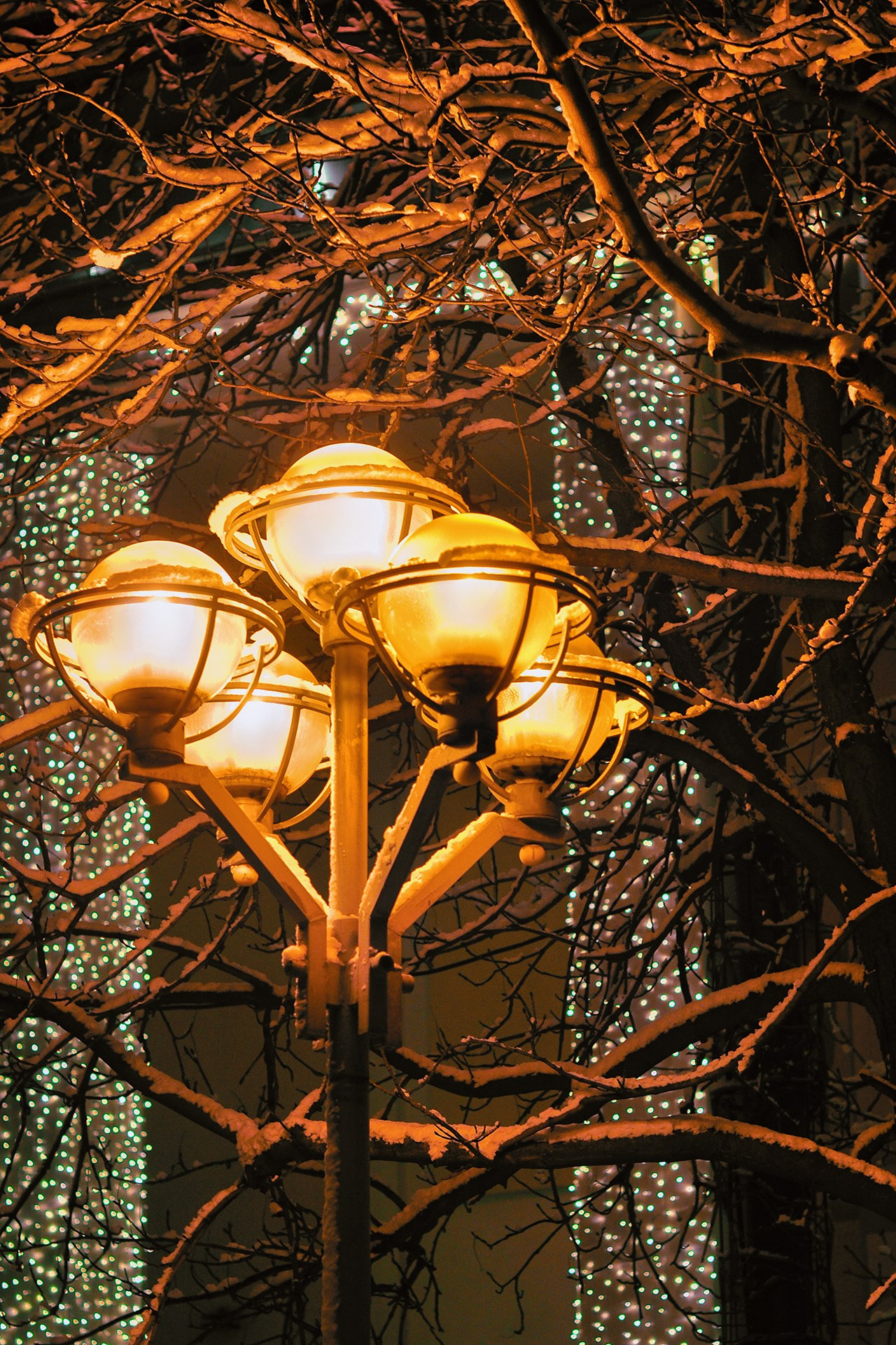 Landscape фото. Фотограф и художник Kerry Moore