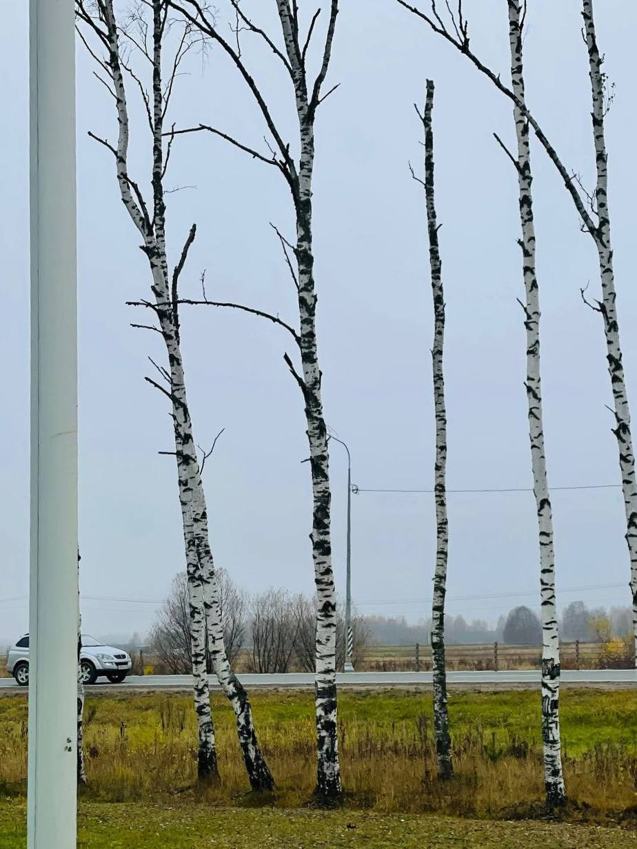 Авторское. Абрамян Мария — фотограф в Москве и не только