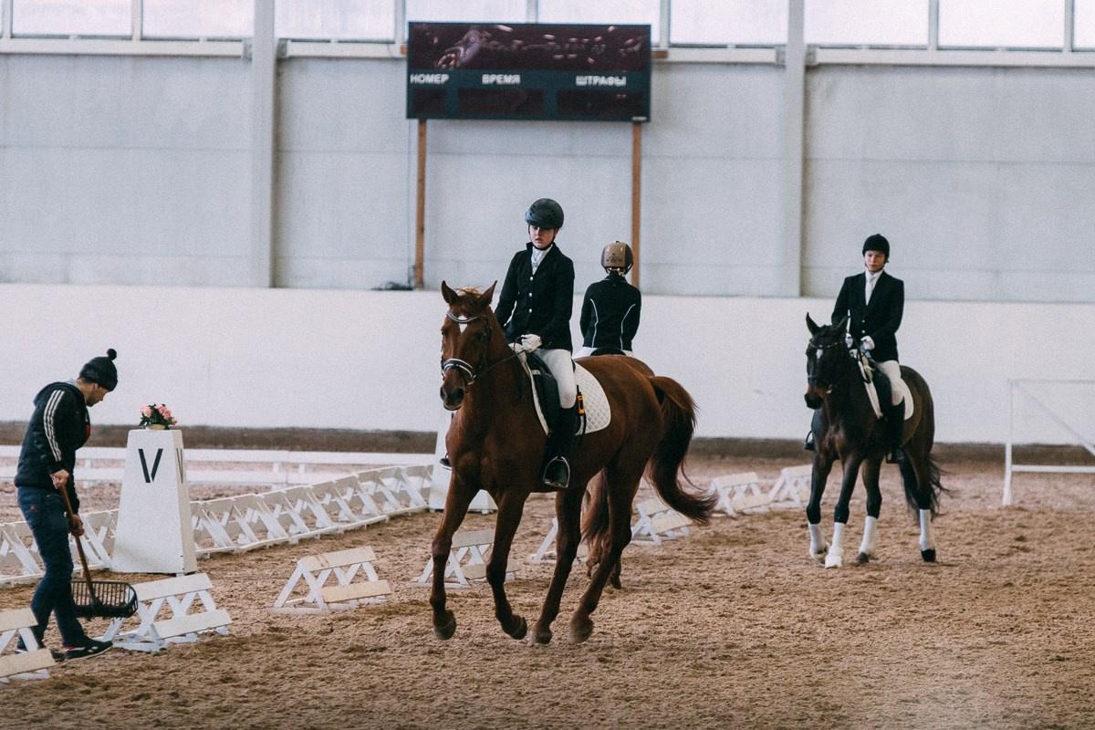 Выездка КСК «Дерби». Репортажный и семейный фотограф в Санкт-Петербурге Тарас Марченко