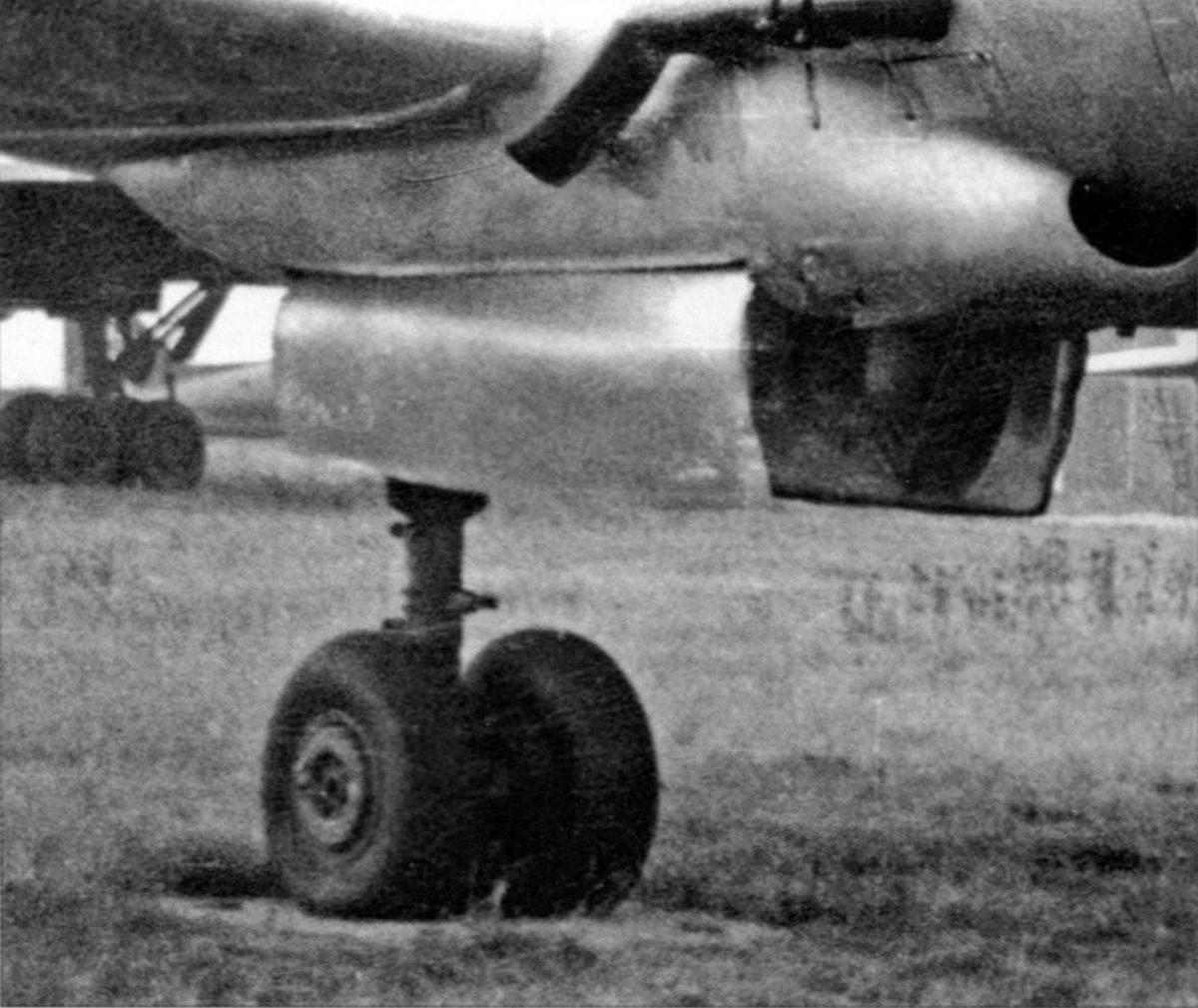 Ил-12 (Монино). Фотоальбом показывающий увлекательный мир авиации и мир медведей Андрея Иванова