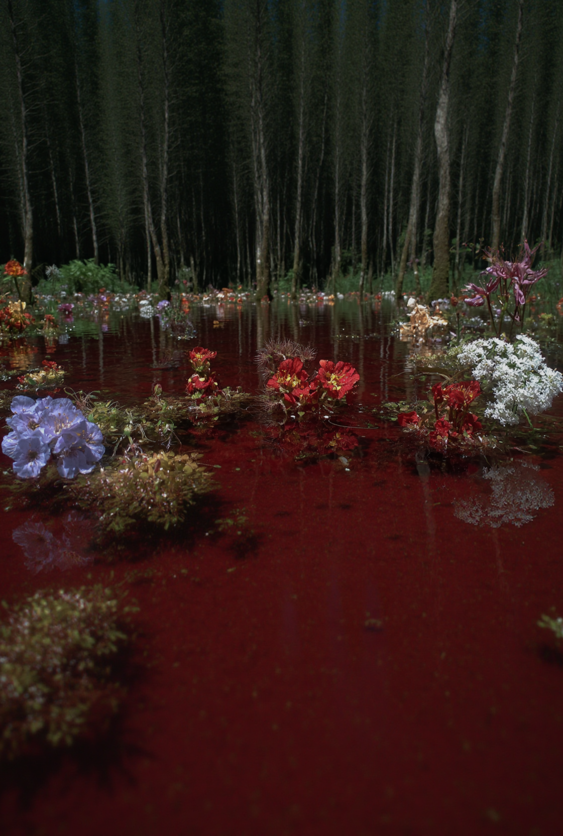 Хтонический авангард. Репортажная и портретная фотосъёмка