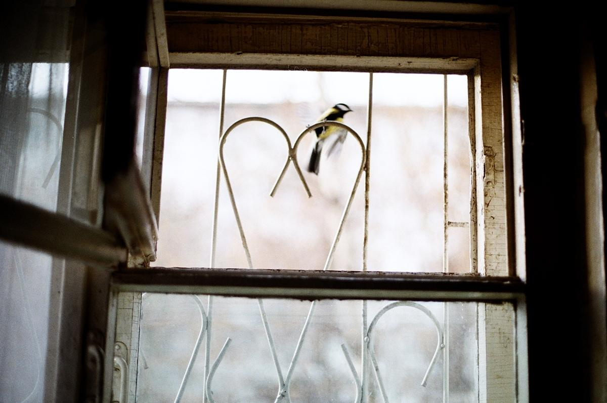 Рутова Наталья. Тихий дом. Наталья Рутова