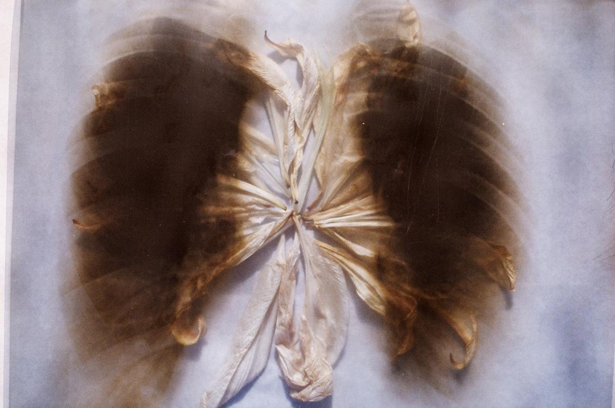 Рутова Наталья. Тихий дом. Наталья Рутова