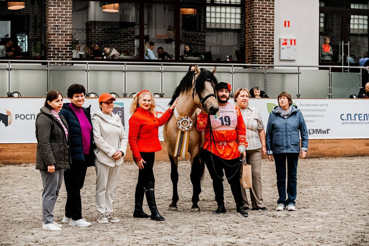 КОННАЯ РОССИЯ 2024. Конный фотограф Куракина Дарья • Фотосессии с лошадьми