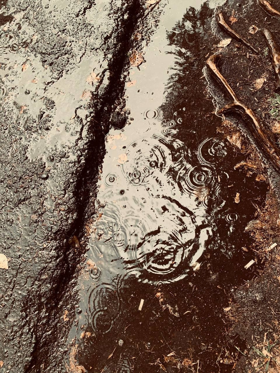 Стрит фото. Фотограф в Екатеринбурге Татьяна Соколовская