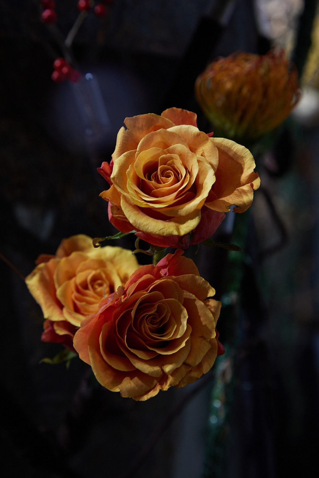 Modern art and floristic art. Maria Poleshchuk, commercial photographer in Sydney