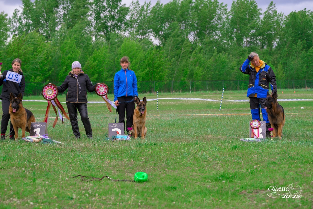 Отзывы. Фотограф анималист Елена Галдина г. Красноярск