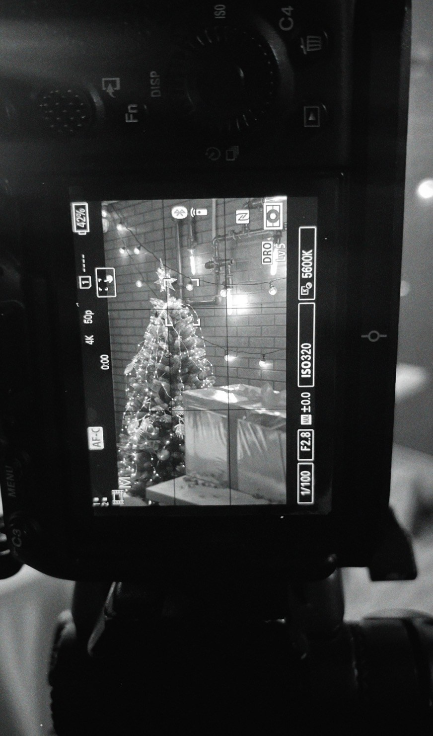 CHAYKA BAND — NEW YEAR CLIP BACKSTAGE. Фотография для артистов