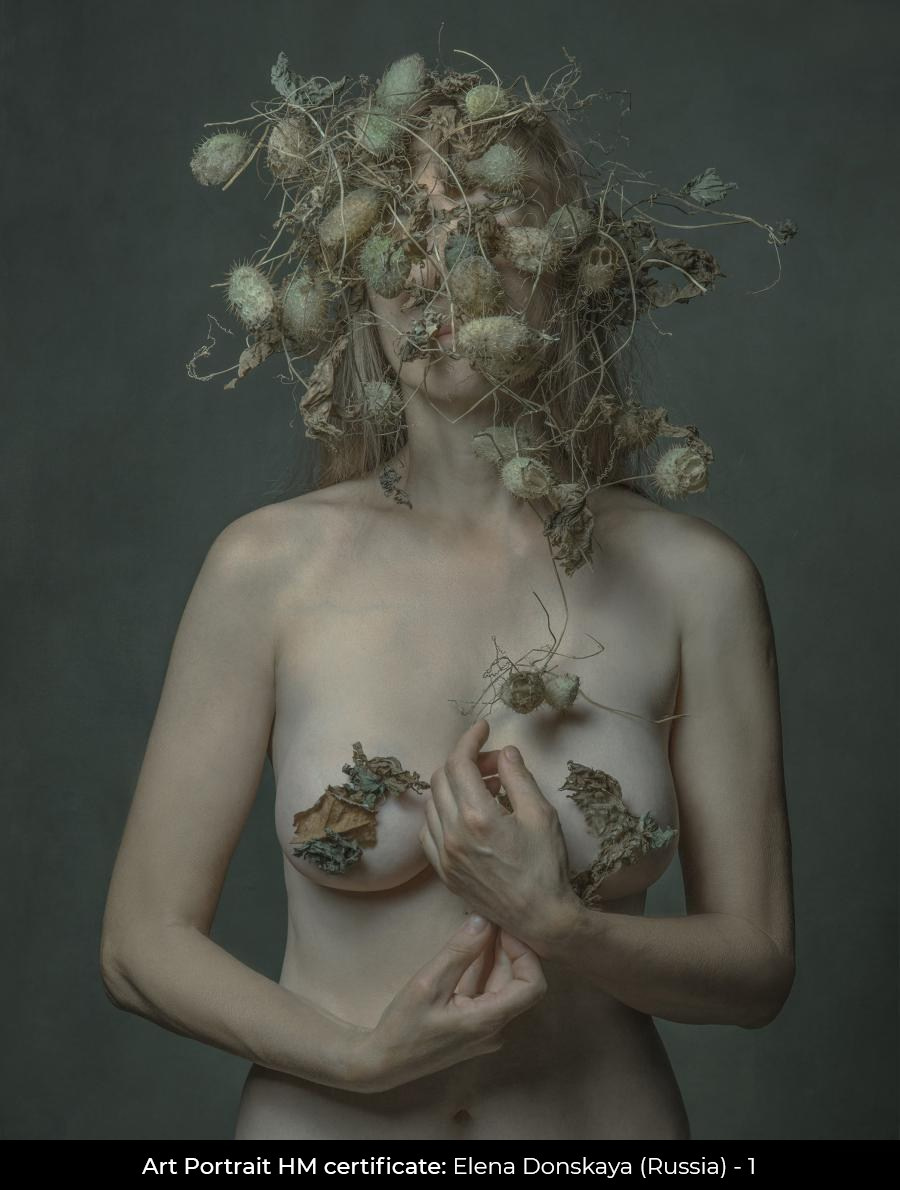 Результаты. Art Portrait