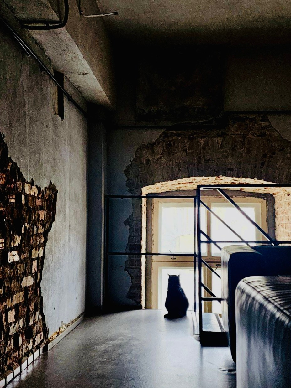 Рязань, 2025. Портретный фотограф в Москве Евгения Яковенко