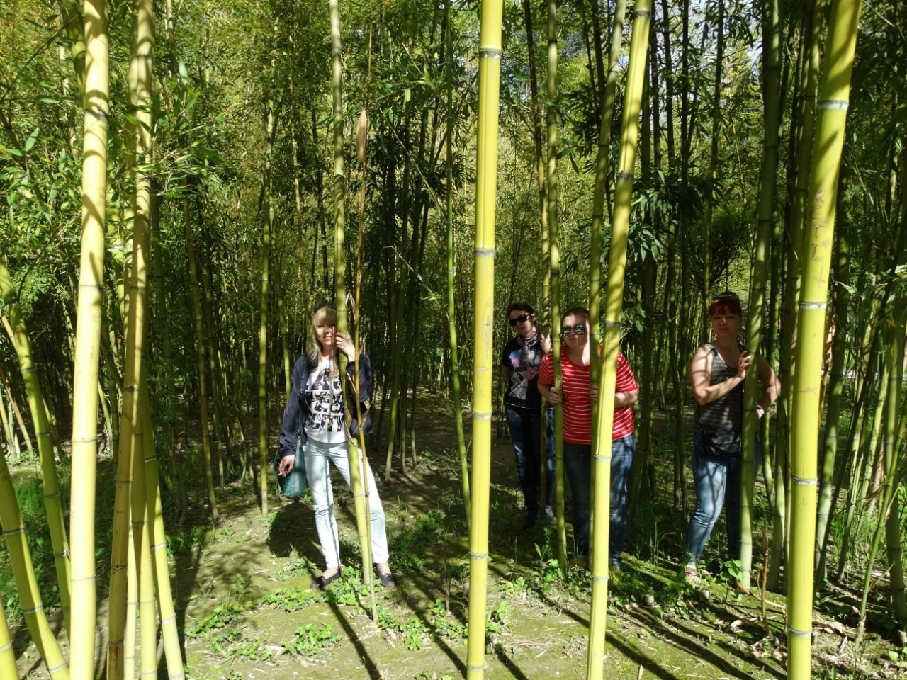 Путешествие в Азербайджан, Грузию и Армению | 01-09.05.2015. Галерея Фантим