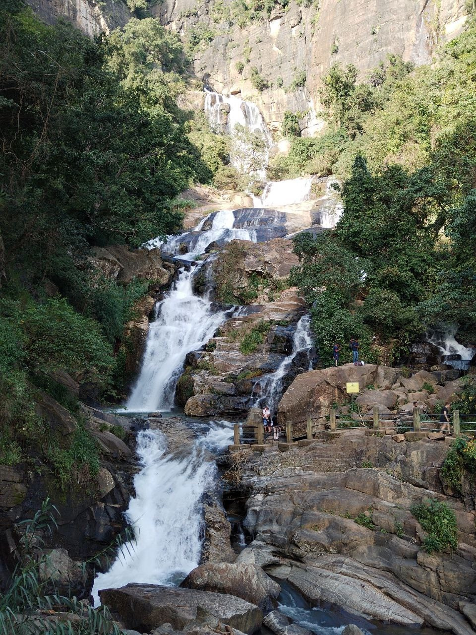 Шри-Ланка | 31.01 — 10.02.2025. Галерея Фантим