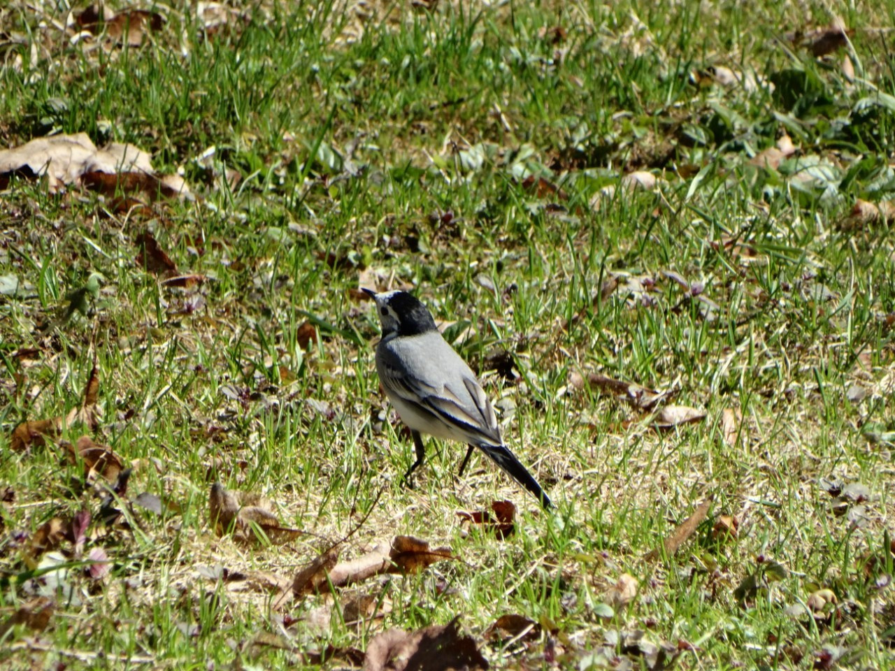 «Весенний переполох» Загородный выезд | 16-17.04.2016. Галерея Фантим
