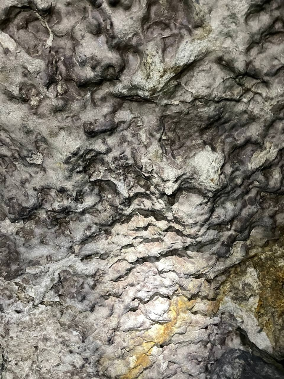 Поход в Гурьевские каменоломни | 21.06.2025. Галерея Фантим