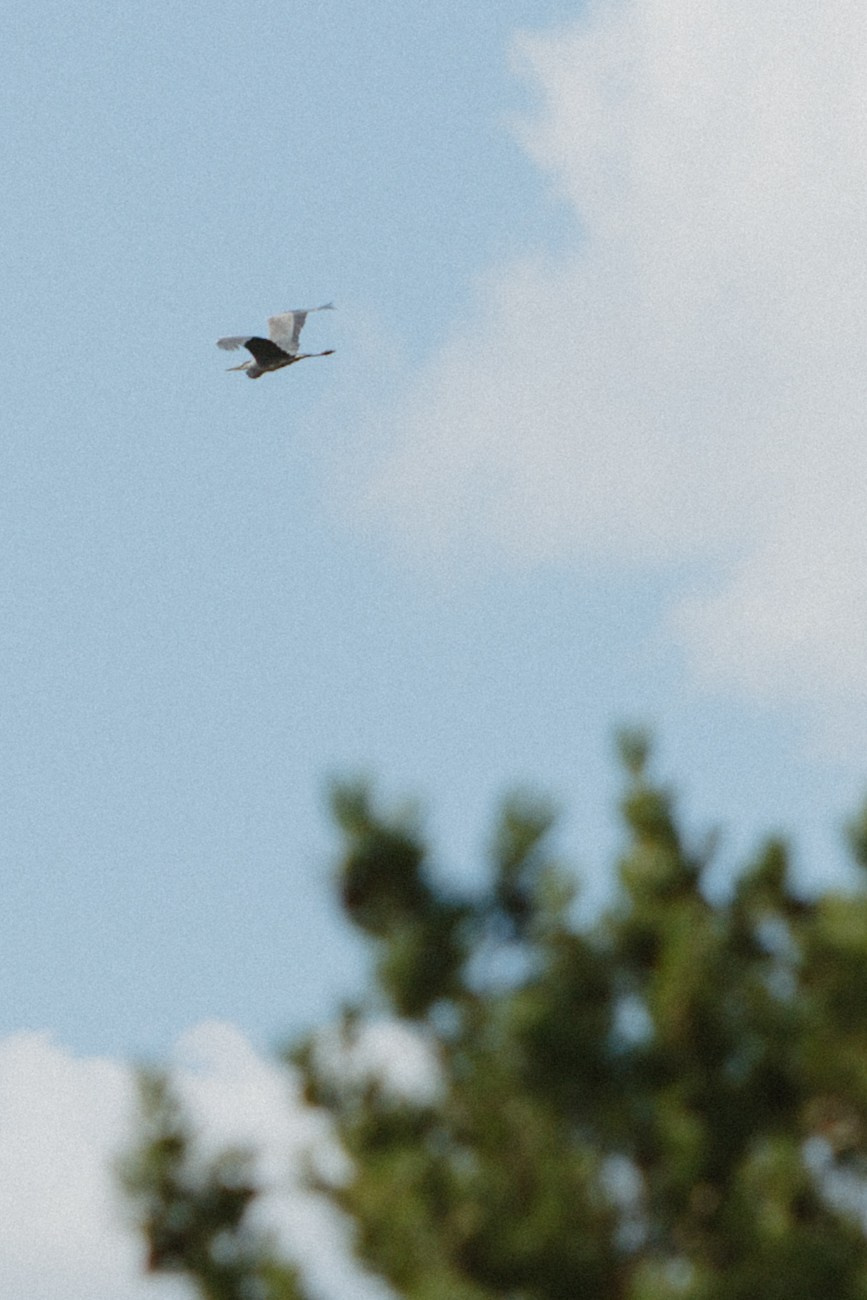 Даня и Ксюша