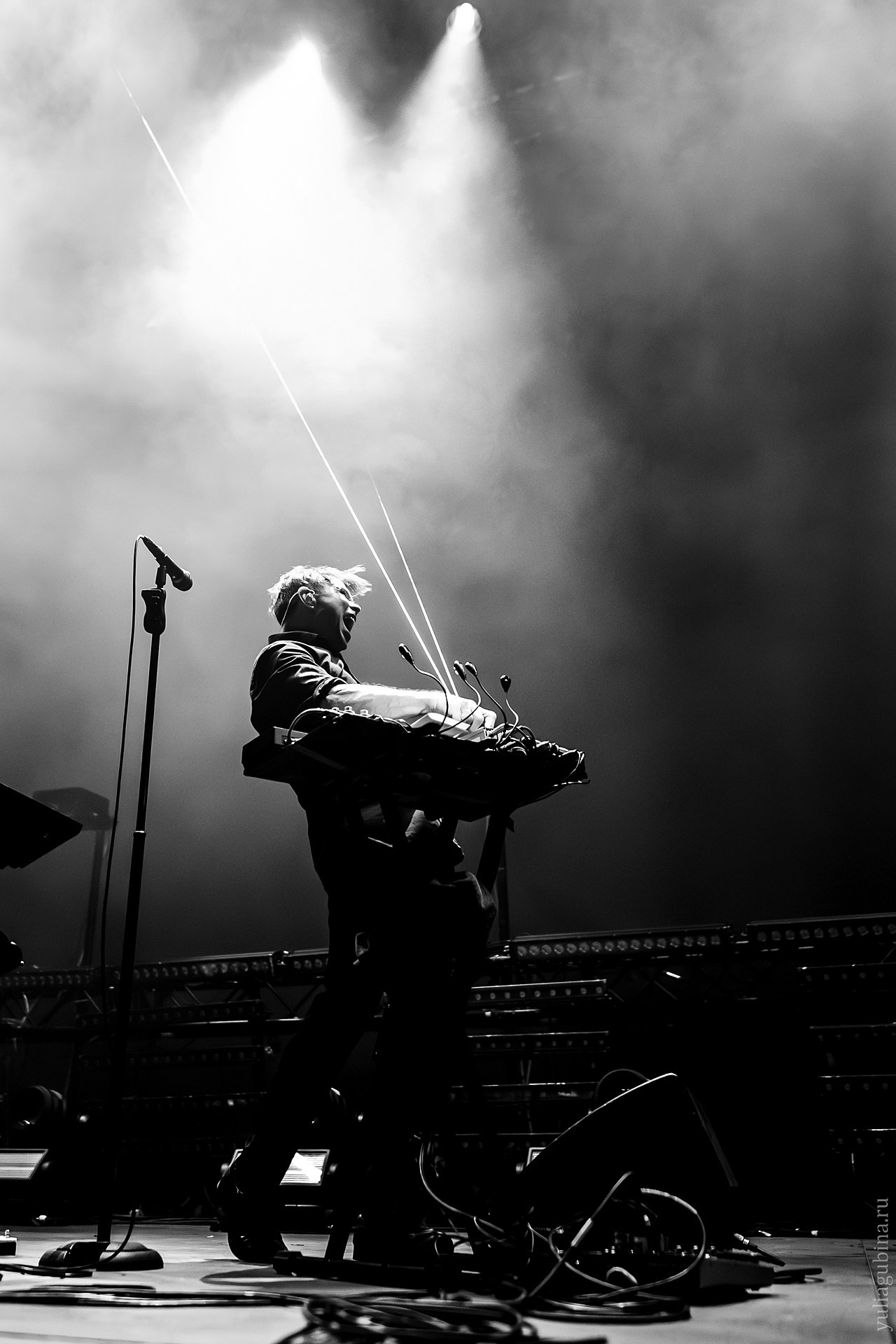 Дельфин, 01.12.24, Atmosphere