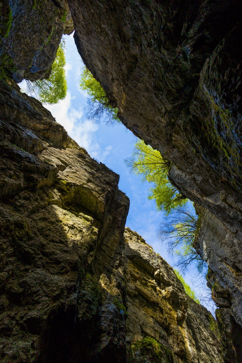 Каменная чаша. Photomantis