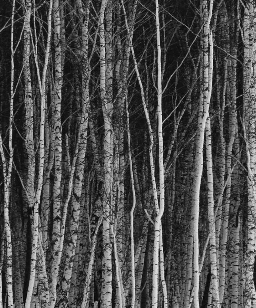 2025 год. Тащилин Сергей. Фотографии. Жизнь. Хобби