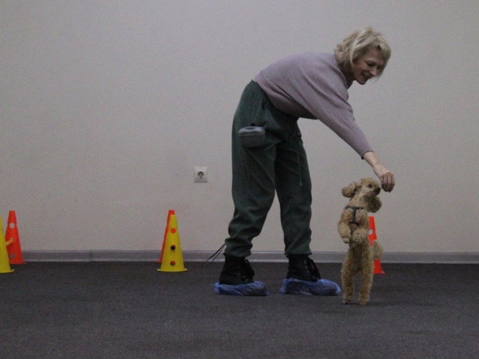 Репортаж УС «ДЦ Ральф». Катя Попова|ЛайфСтайл фотограф