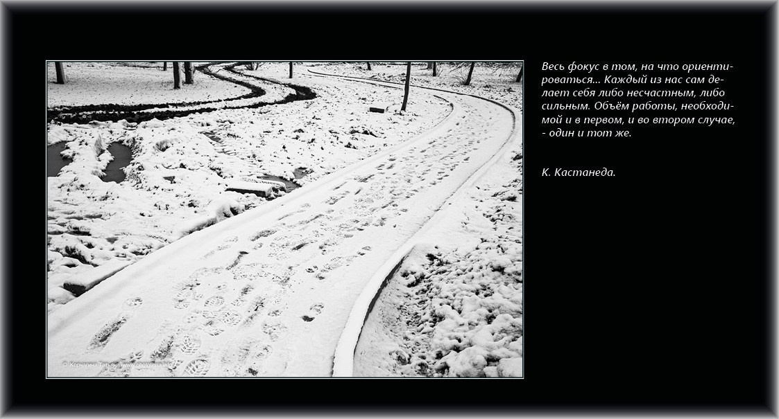 Совет дня — ориентир. Татьяна Корчагина. Фотограф, художник. Обучение фотографии