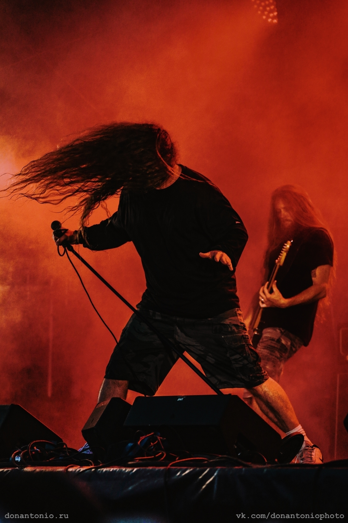 Портреты с Доном