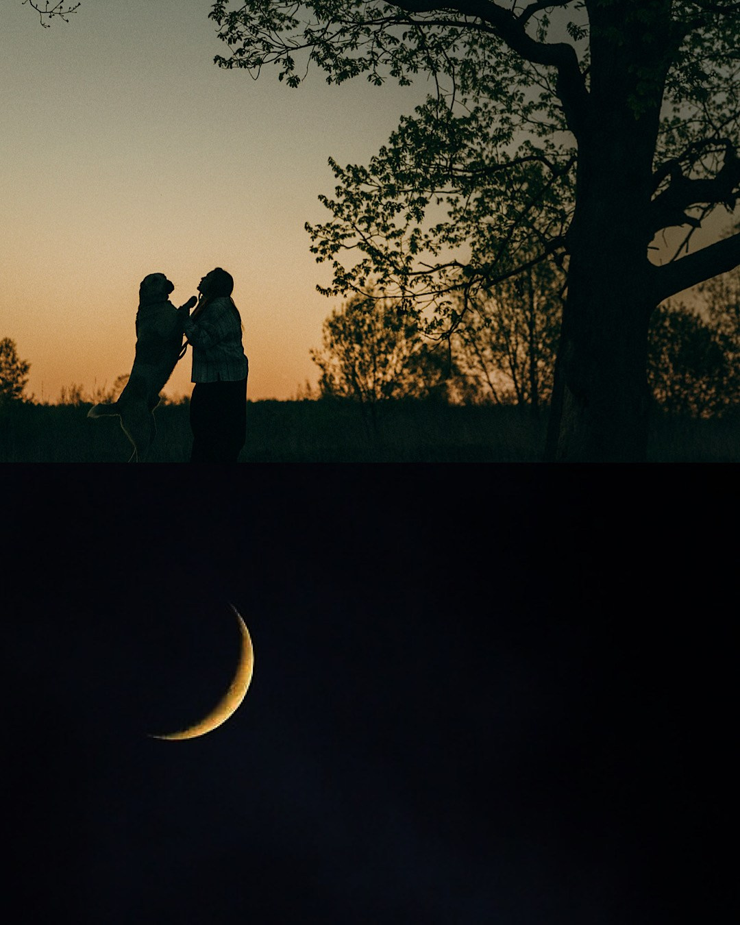 Настя и Рахат. Фотограф анималист в Москве и Санкт-Петербурге Свиридова Анна