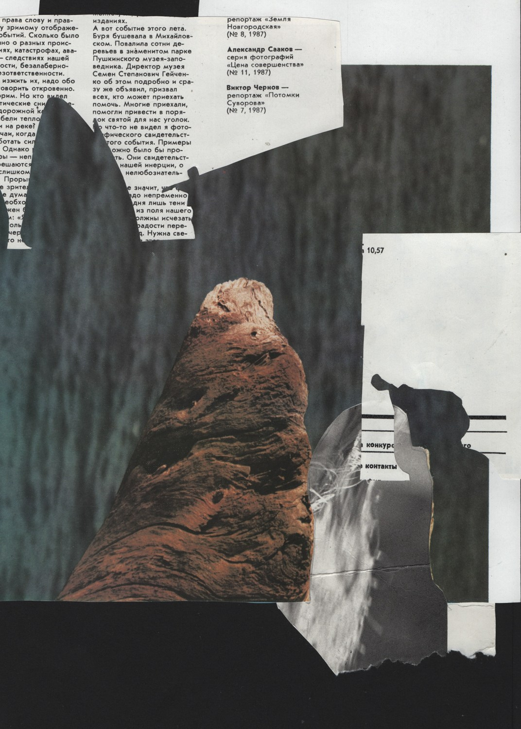 Shards of despair. Maria Barakova