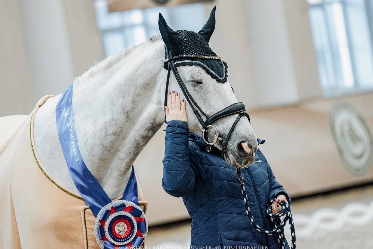 Кубок России по конному спорту лиц с ПОДА. Куракина Дарья • Конный фотограф