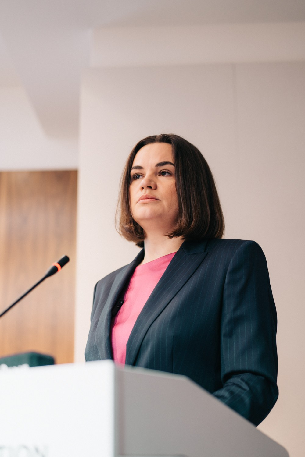 Канферэнцыя беларусаў свету II. Photographer in Vilnius