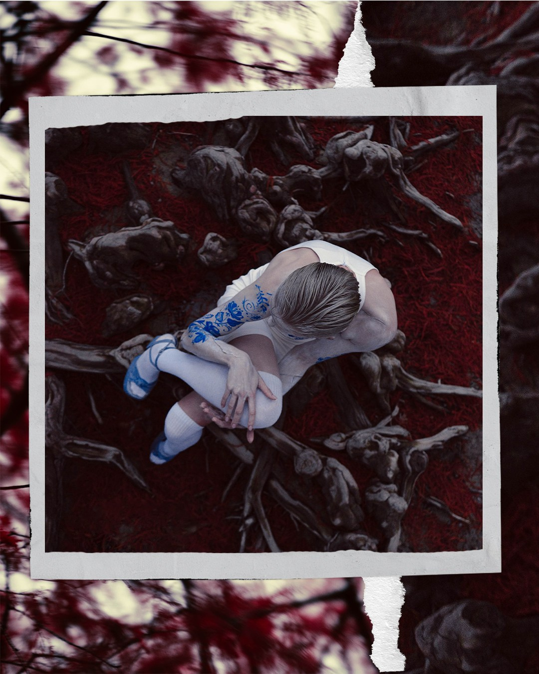 Проект «Лилия». Фотограф Краснодара