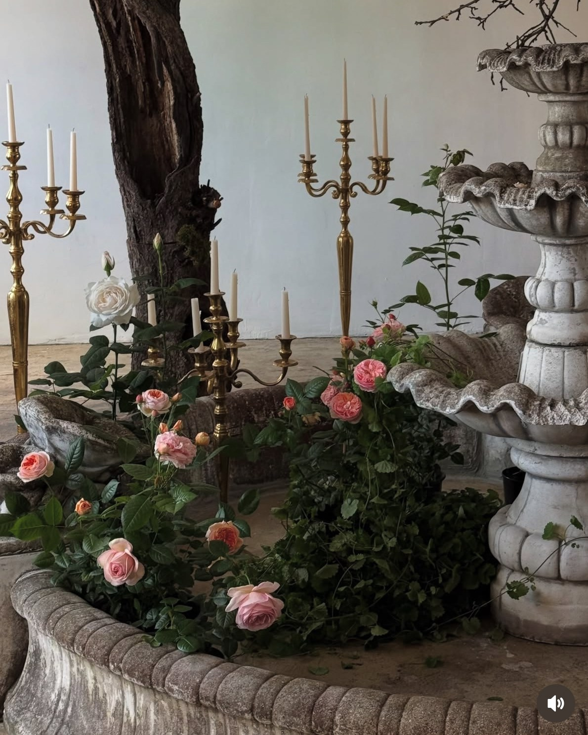 Фотостудия МОХ Зал Сказки. Фотограф Настя Лев