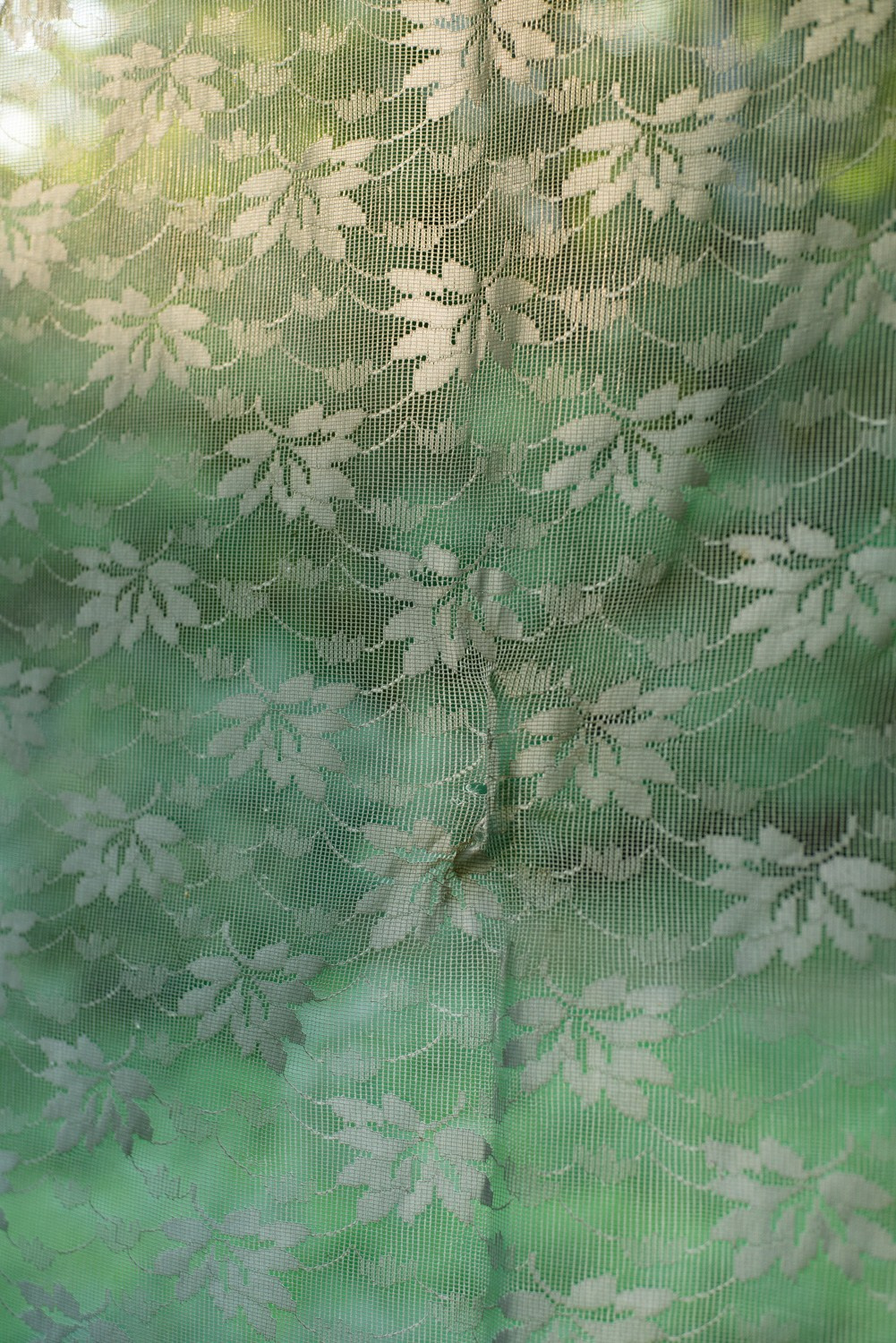 Summer Recurrences. Пётр Антонов