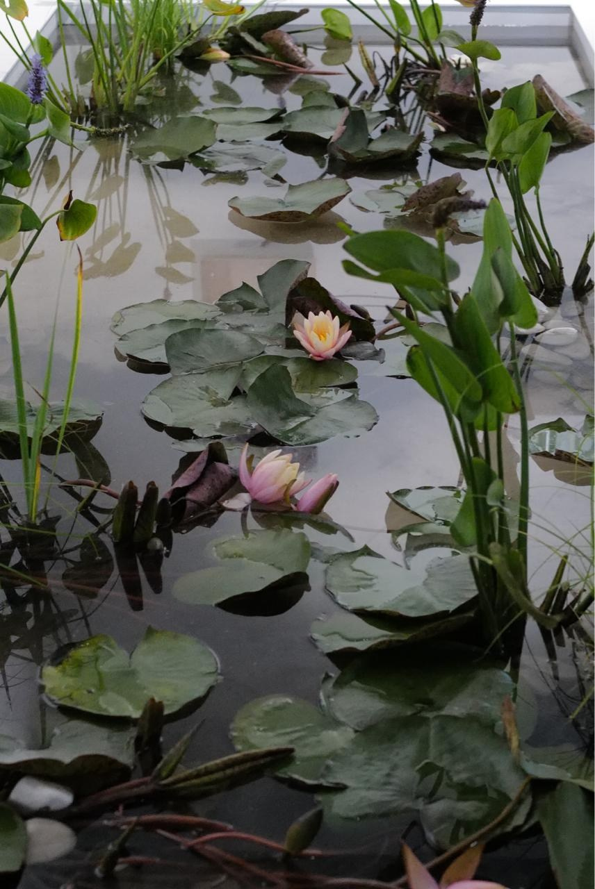 RANDOM. Nik Paustovskiy photography