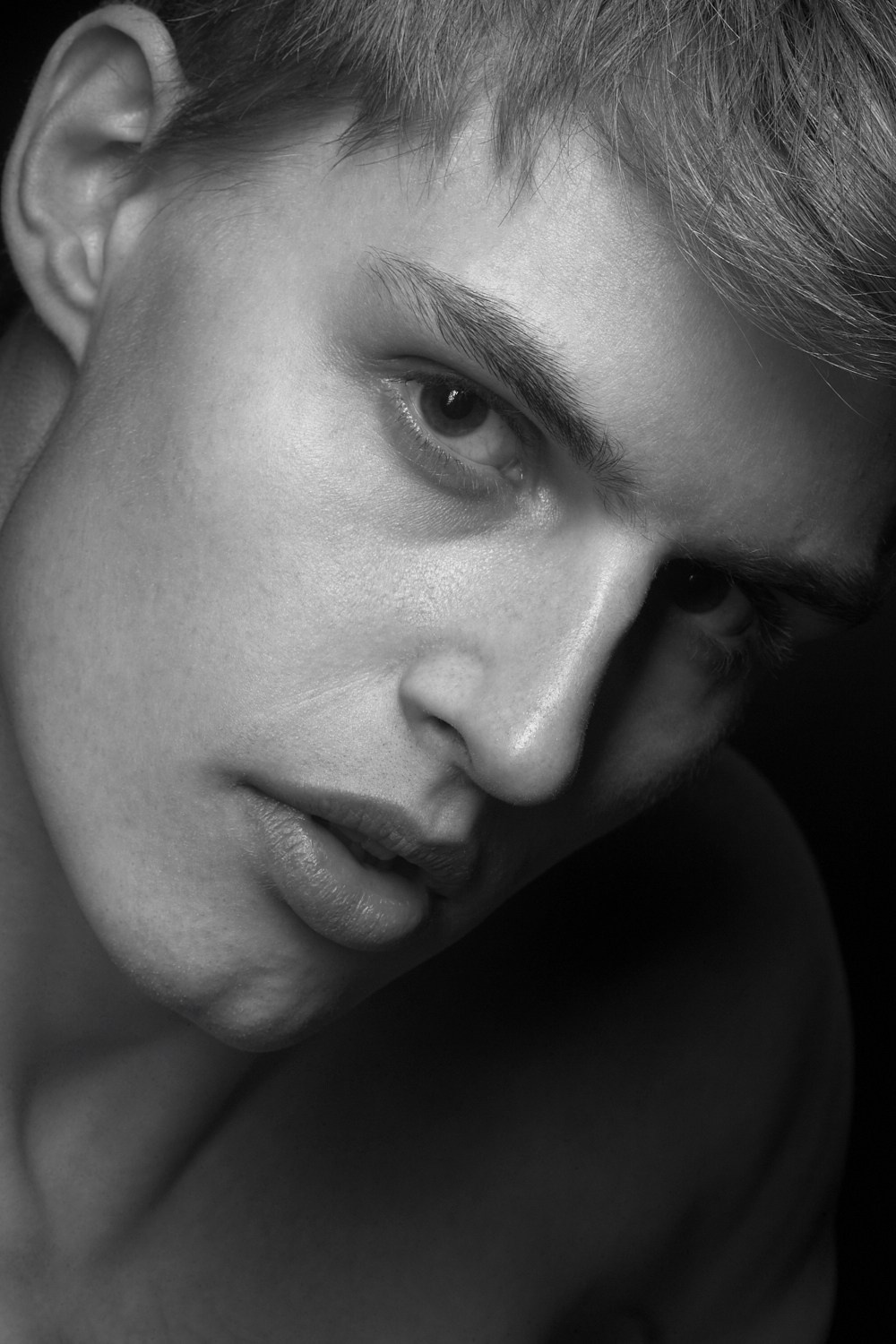 ALEXANDER A. THE FAME MODELS