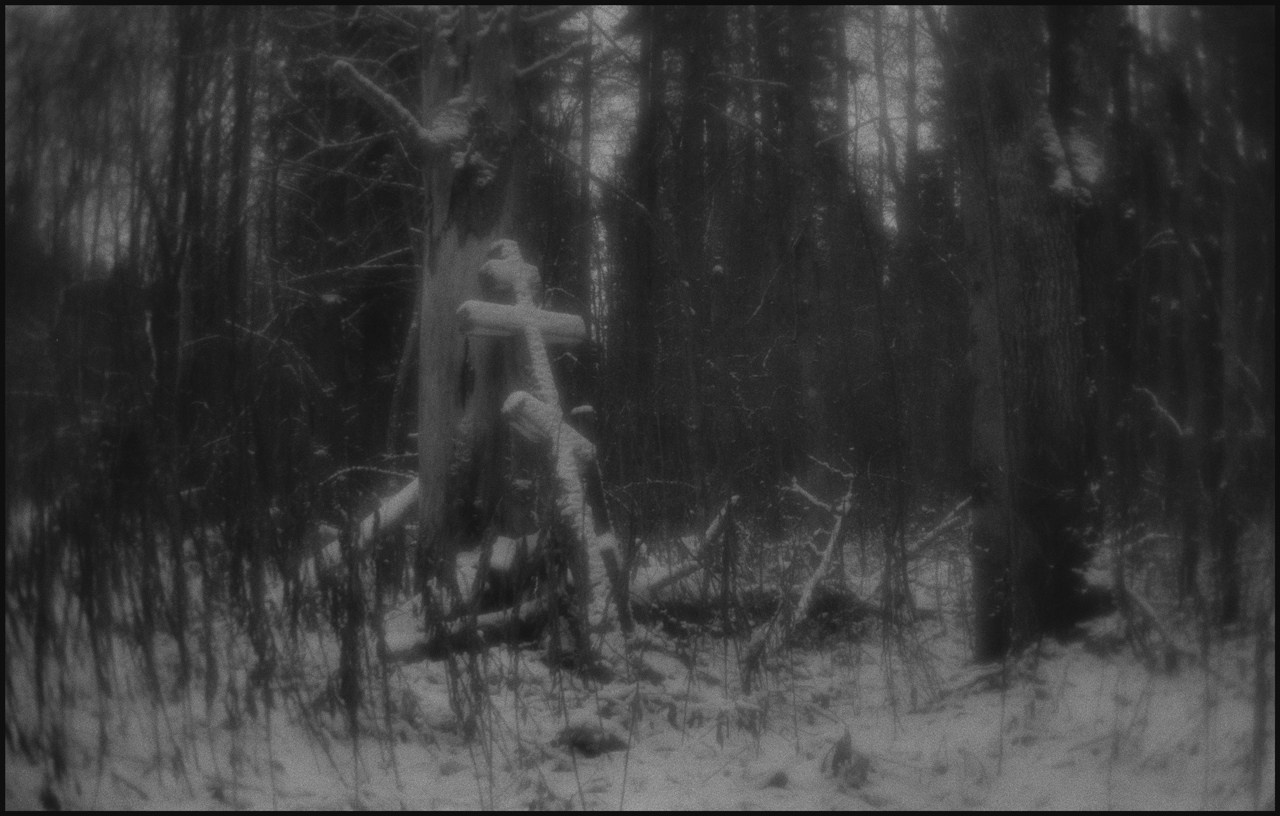 ур. Красная Ляга #2, Каргопольский район, Архангельская область. 2024 г.