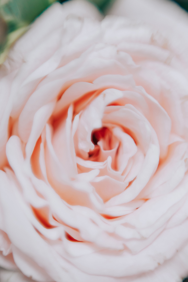 Свадьба в Европейском. Светлана Иванова - профессиональный фотограф