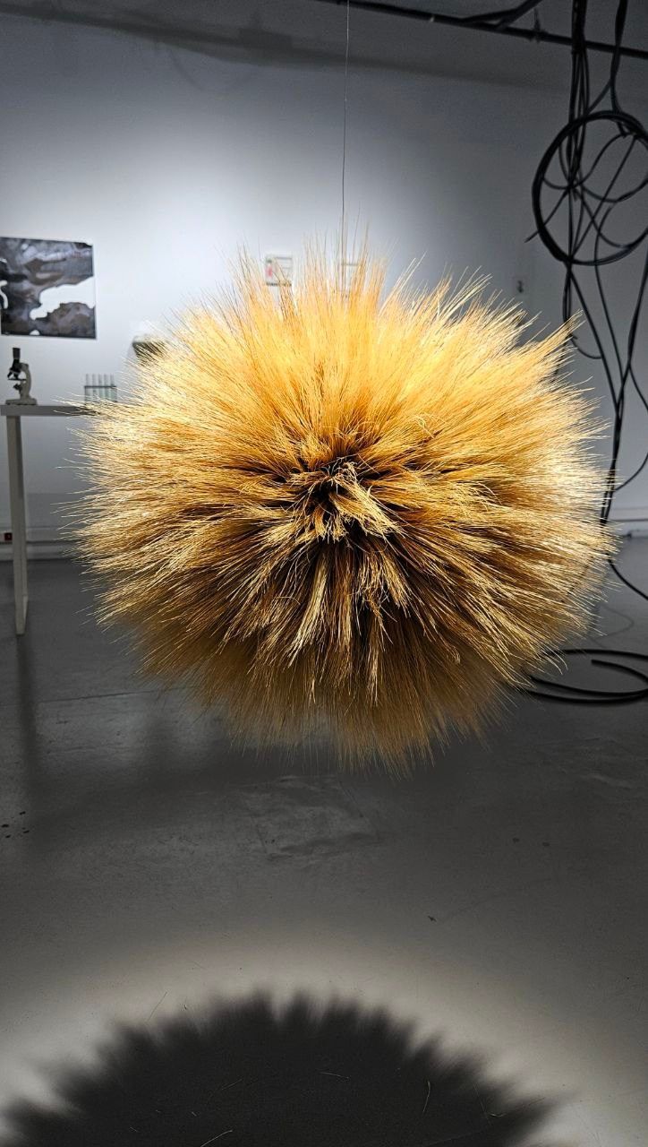 Развитие детей. Изостудия «Мы рисуем!» ♥ Южное Бутово, Москва