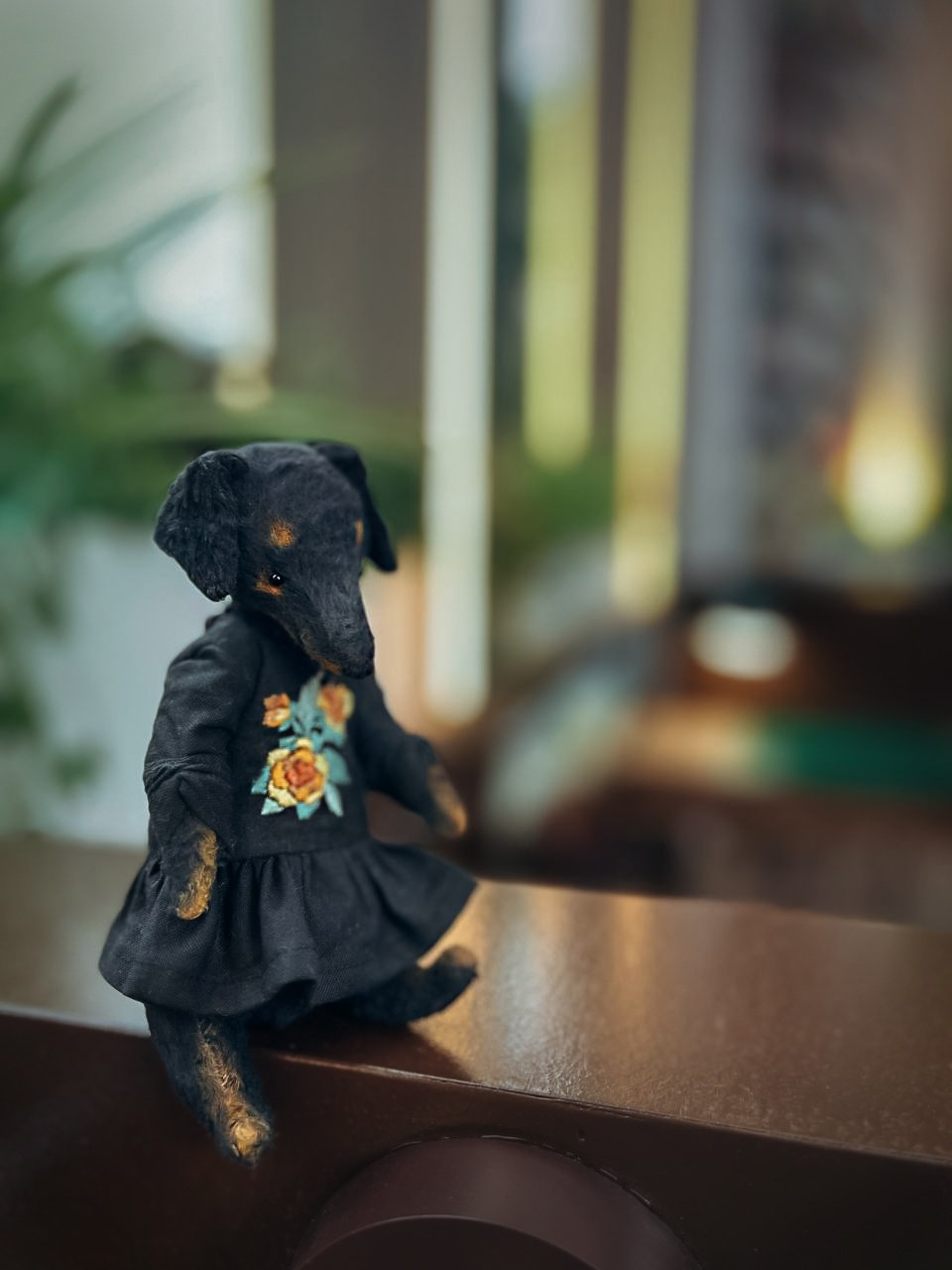 Тедди. Фотограф Ольга Сальманович