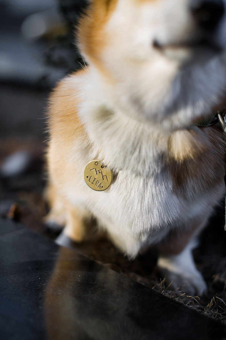 Ангелина и Николай