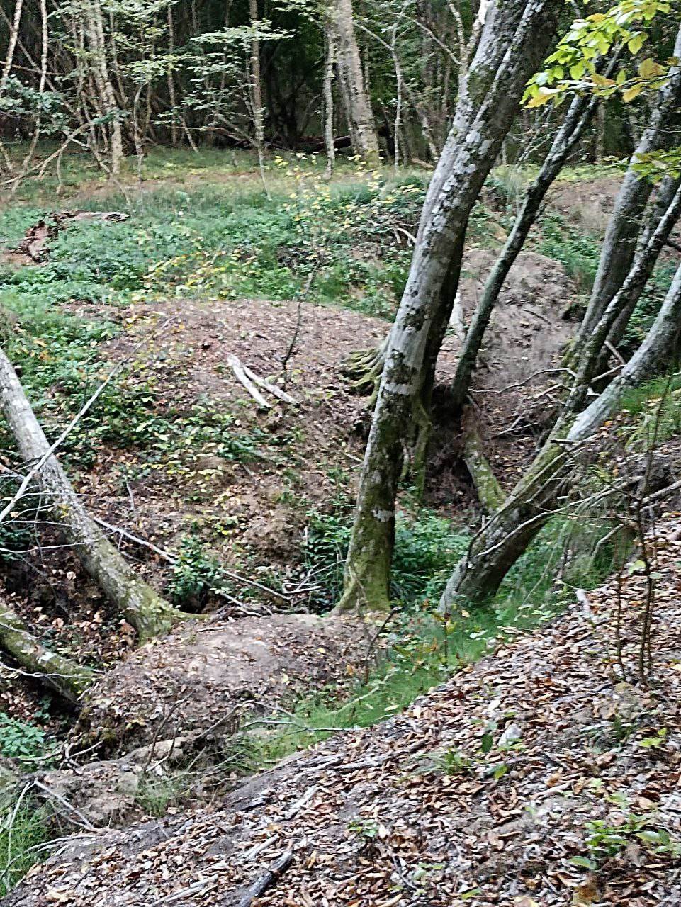 Горячий Ключ (2024-09-20). Собор Отрасли