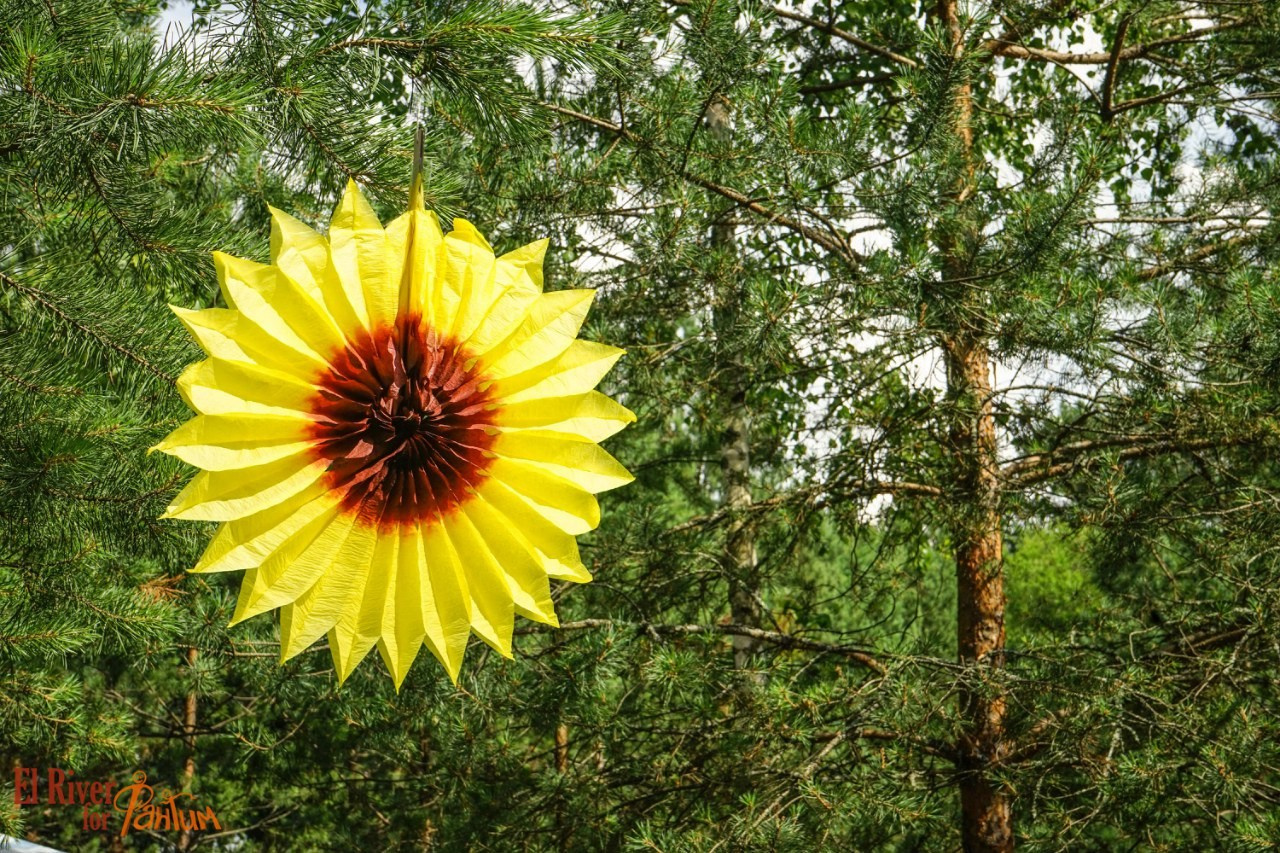 Походная романтика 18! Дети цветов | 01-03.07.2016. Галерея Фантим